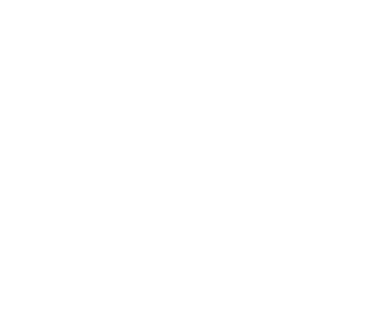 Sonderaktion Türkei