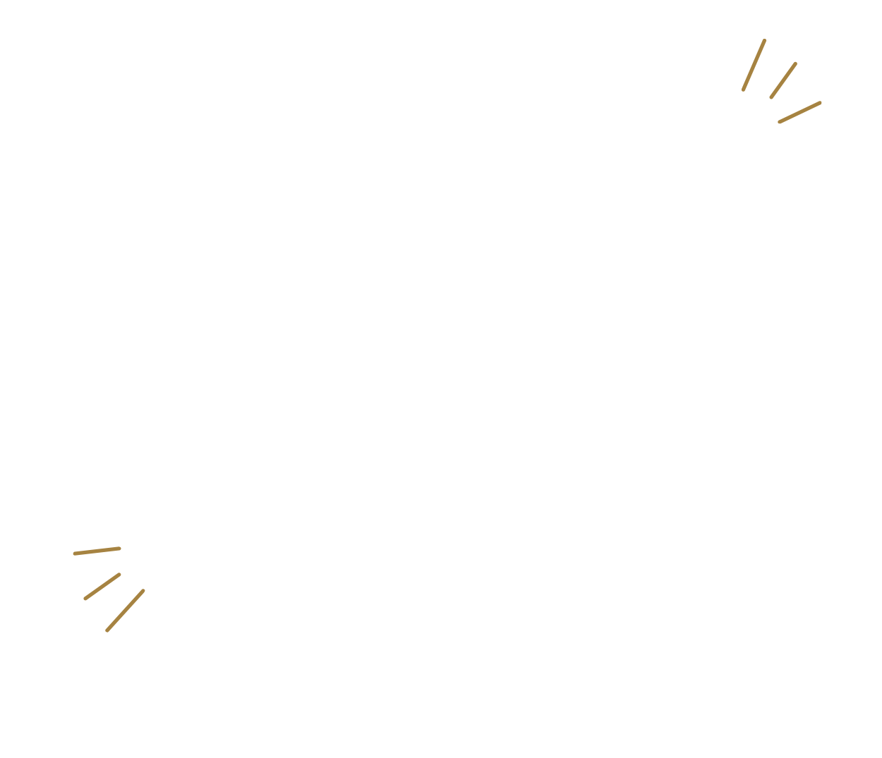 GAZi Partner im Sport Banner