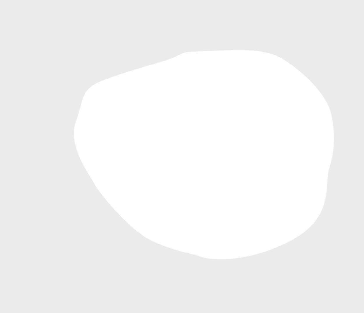 GAZi Life Sport Fußball VfB Stuttgart