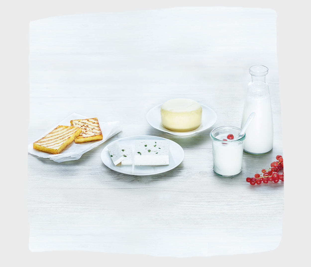 Beste Qualität bei GAZi Hintergrund