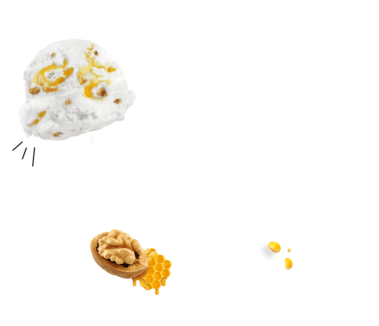 GAZi Joghurteis Honig Walnuss Eiskugel