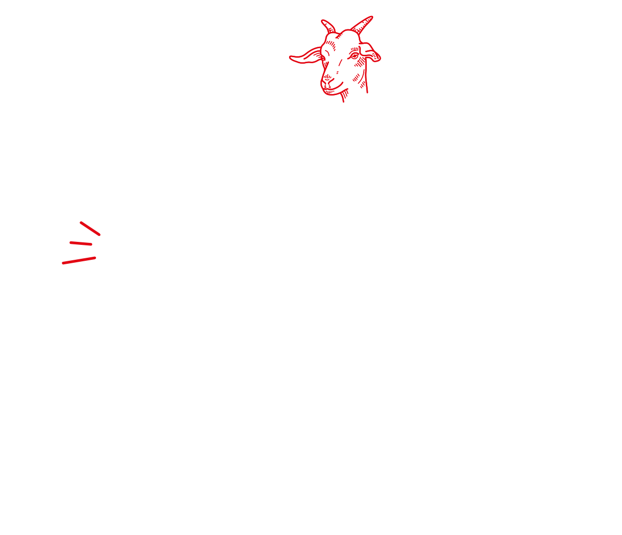 GAZi Ziegenkäse Ziege