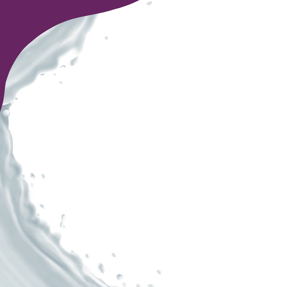 GAZi Laktosefrei unbeschwert genießen