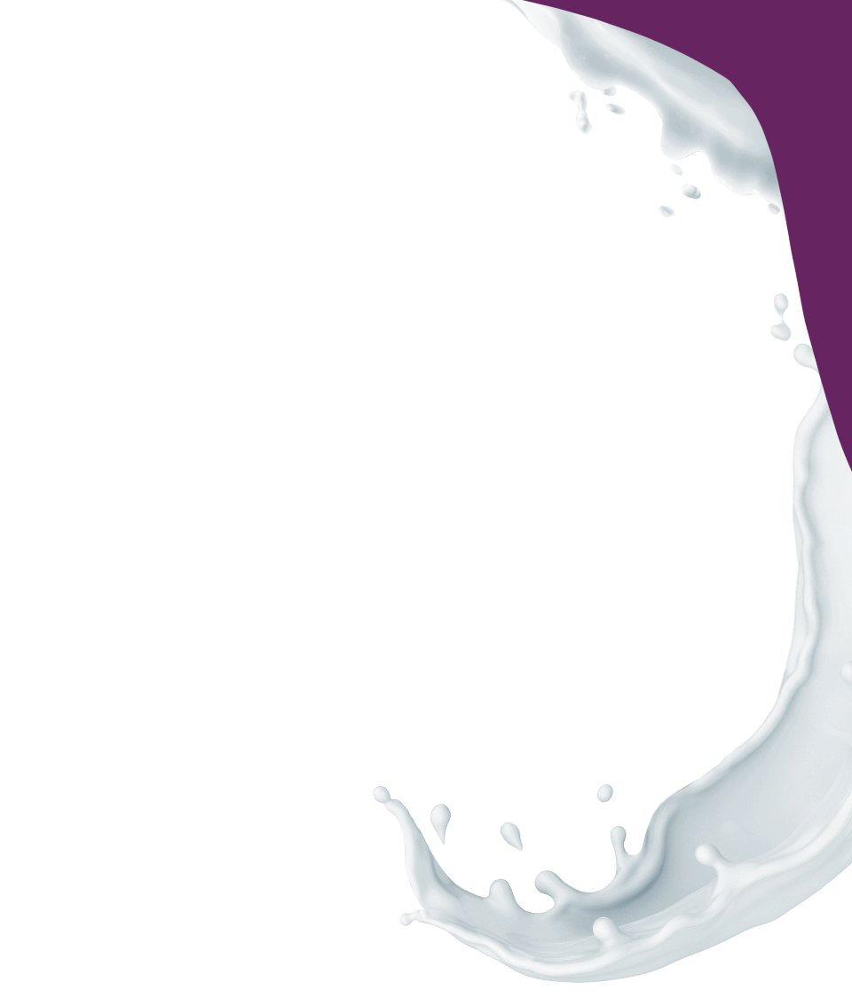 GAZi Laktosefrei unbeschwert genießen