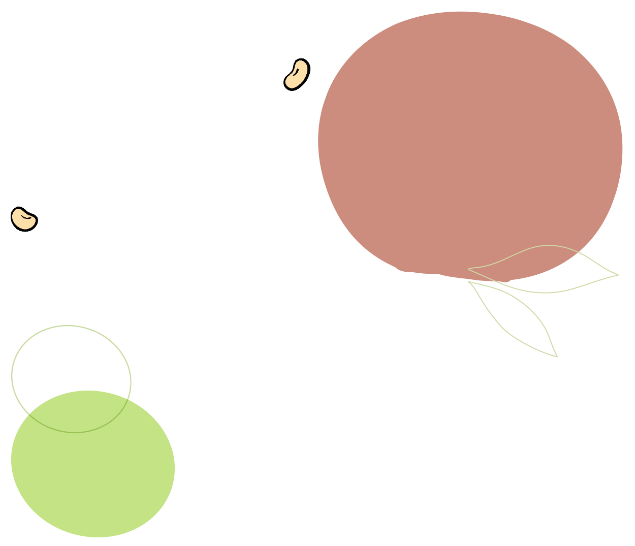 GAZi Vegan Tofu-Omelett