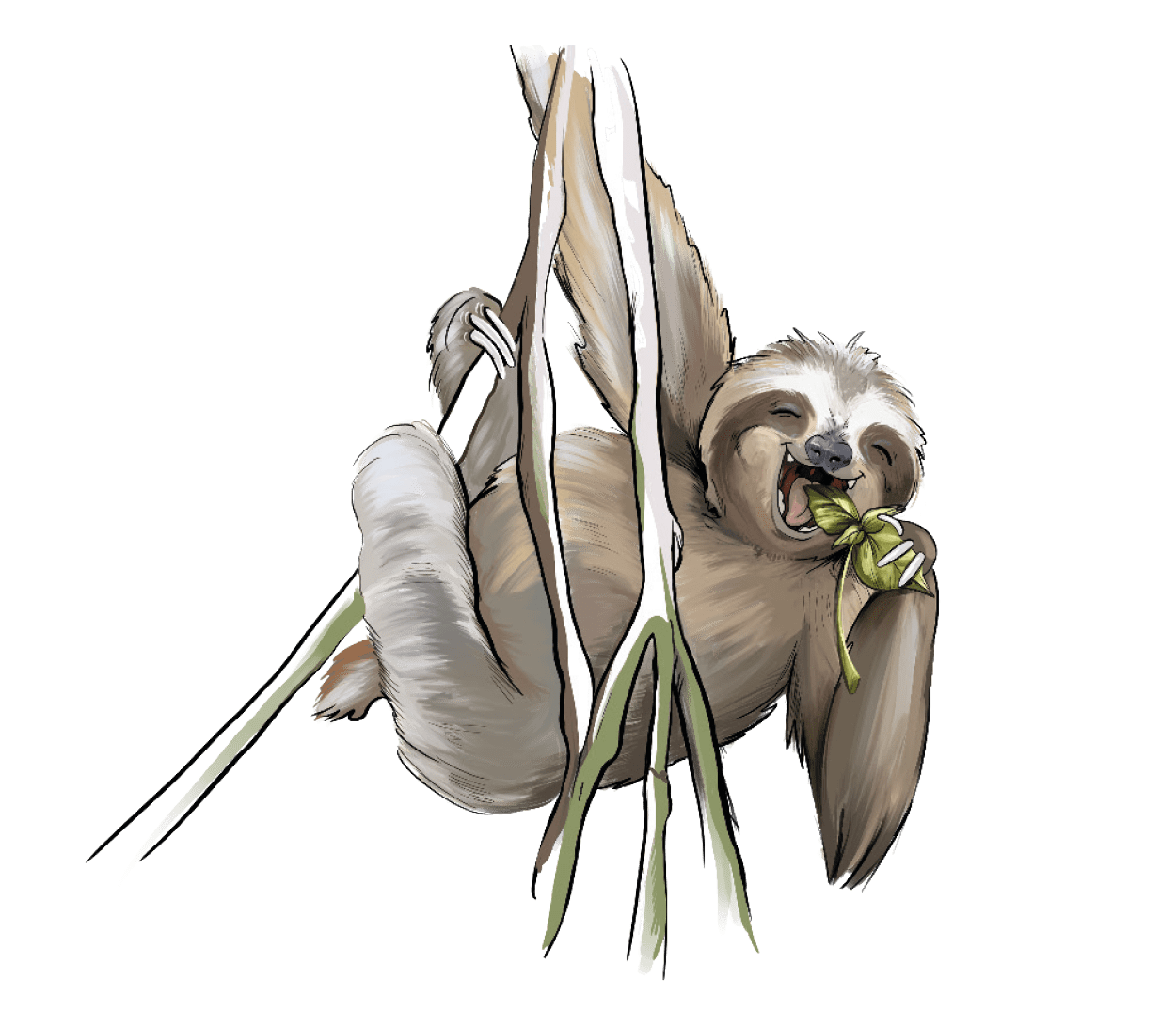 GAZi Vegan Faultier Tofu Basilikum