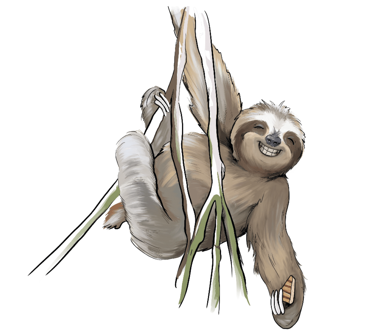 GAZi Vegan Faultier Tofu gegrillt