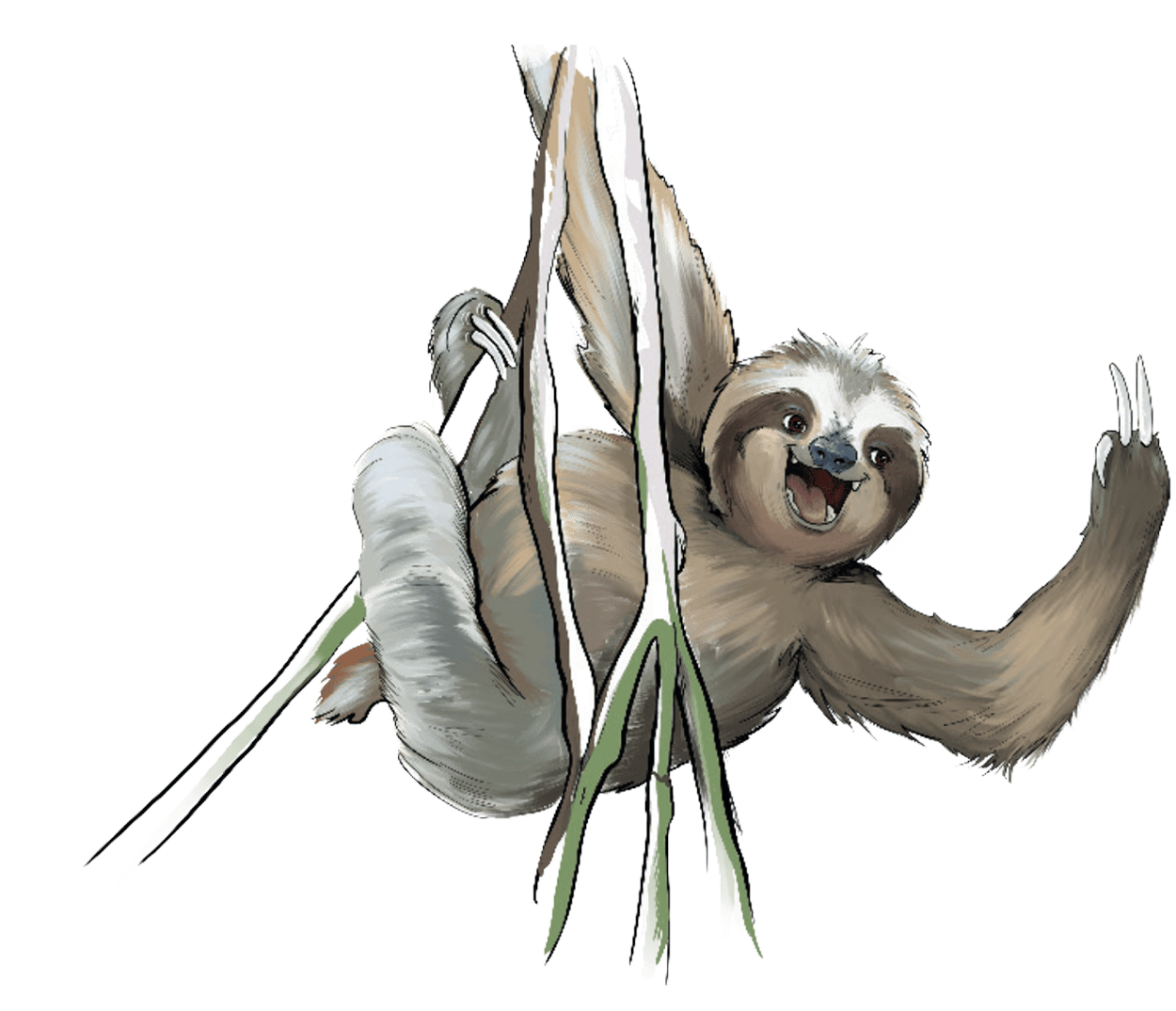 GAZi Vegan Faultier Tofu Natur