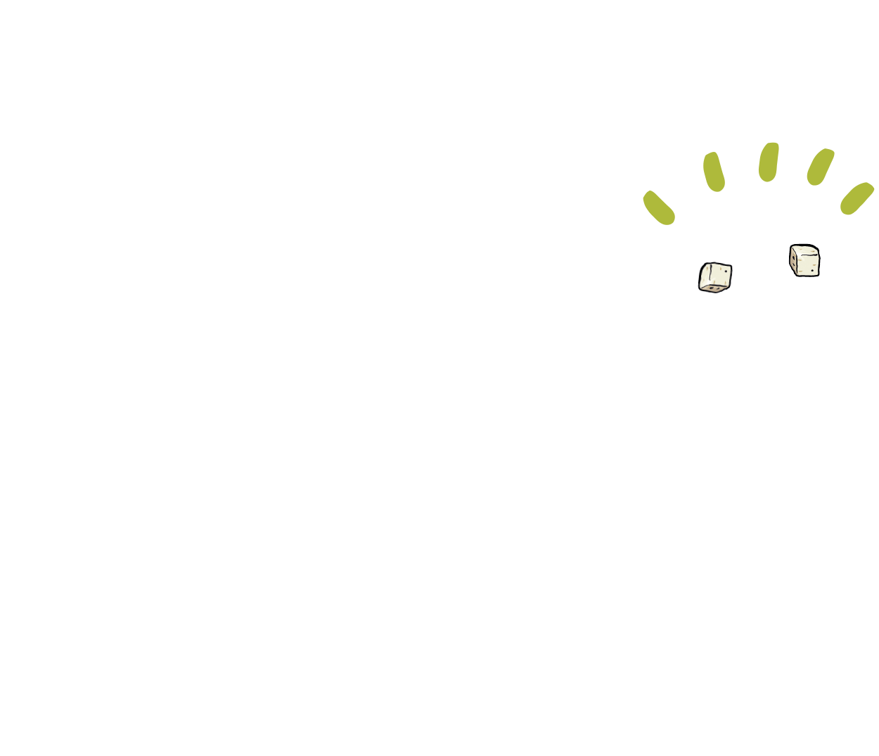 GAZi Vegan Faultier Tofu Natur