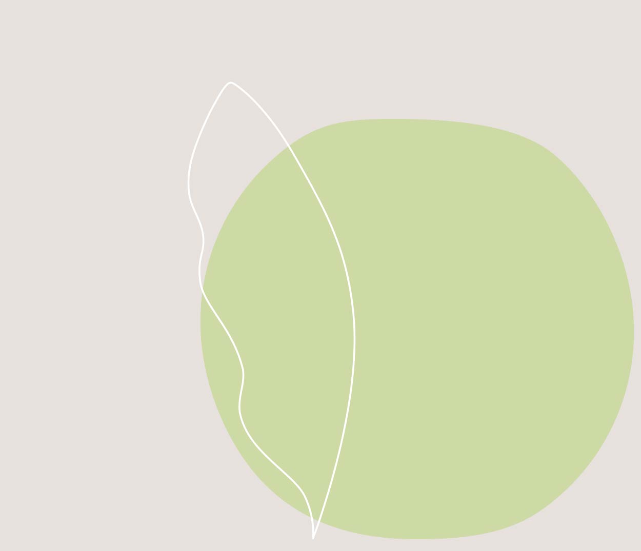 GAZi Vegan Koala Tofu-Omelett Gemüse