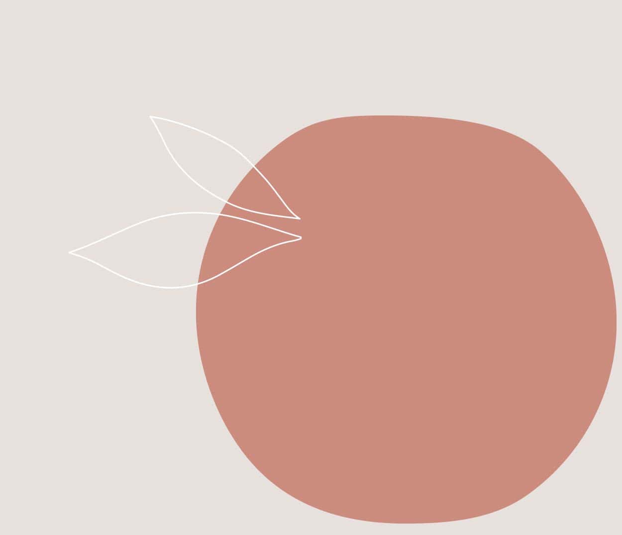 GAZi Vegan Koala Tofu-Omelett Tomate