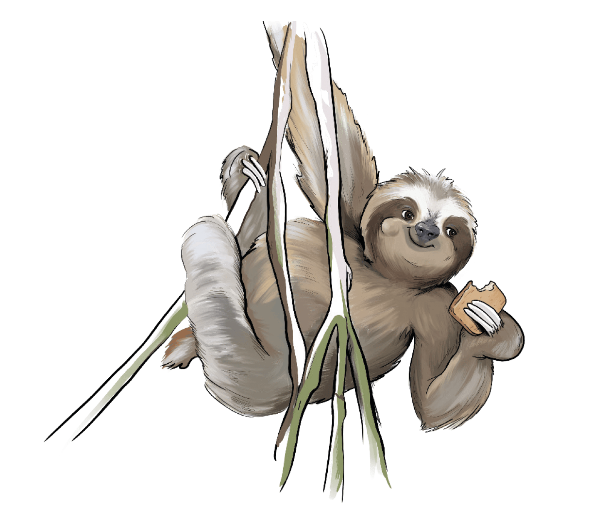 GAZi Vegan Faultier Tofu Rauch