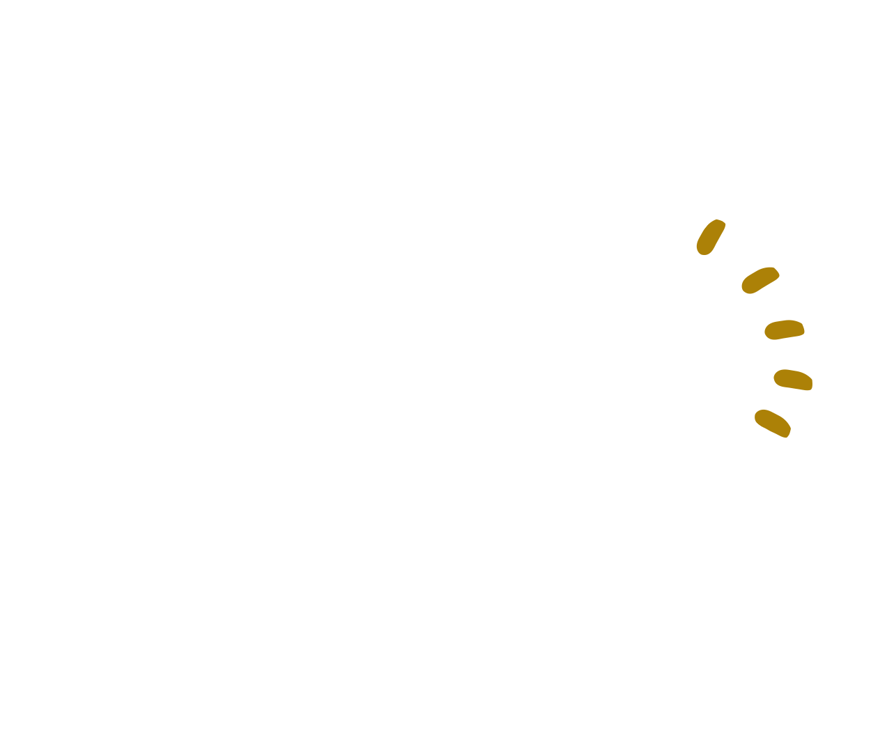 GAZi Vegan Faultier Tofu Rauch